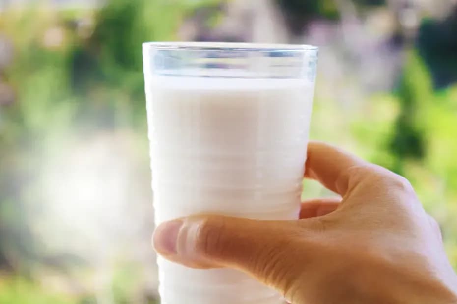 Günde Bir Bardak Süt İçmek, İnme Riskini Yüzde 10 Azaltıyor