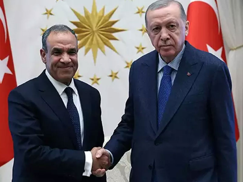 Mısır Dışişleri Bakanı Badr Abdelatty